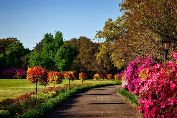 Quels sont les conseils pour la gestion écologique des déchets de jardin ?